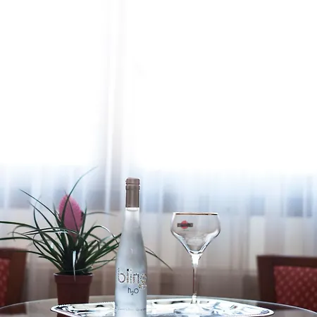 恩兹艾广场酒店 酒店